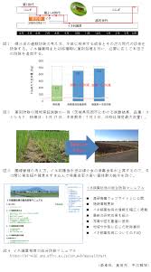 イネ縞葉枯病の総合防除技術および防除体系の構築を支援するマニュアル 農研機構