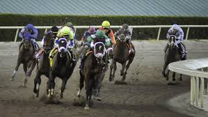 Follow along here for complete results from churchill. 2021 Florida Derby At A Glance America S Best Racing