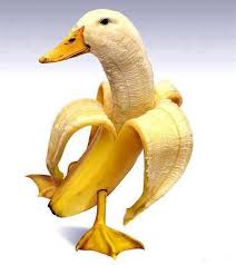 Positively Fun And Tasty Recipes Banana Food Art Banana Art Duck Art Banana Picture