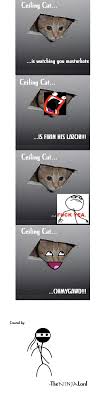 Article by know your meme. Ceiling Cat With Memes