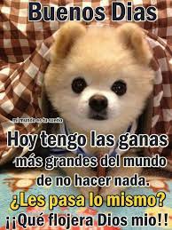 Excelente Domingo Buen Dia Buenas Noches Carino Buenos Dias Memes De Buenos Dias