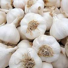 Fresh Garlic Whole