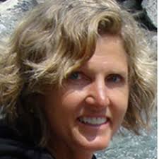 Understanding Traumatic Injury to the Human Brain · Frontiers for Young  Minds