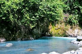 Butterworth esant 14,0km taman limau manis stoties padėtis: Wpid Patamuan Limau Manis Padang Jpg Himawari