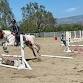 Pony Club Meeting
