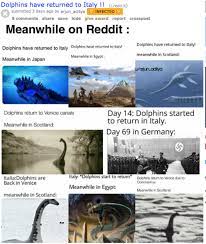 Meanwhile On Reddit The Dolphins Have Returned To Italy Nature Is Healing Dolphin Memes Italy Images Dolphins