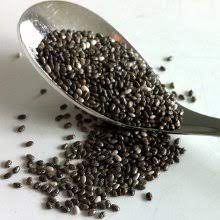 Chia seeds contain 40% healthy fats and up to 25% protein by their weight. How To Eat Chia Seeds Without Getting Constipated Or Bloated