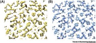 Contained in this manual, it will ensure both product and operator. Cryo Electron Microscopy Methodology Current Aspects And Future Directions Trends In Biochemical Sciences