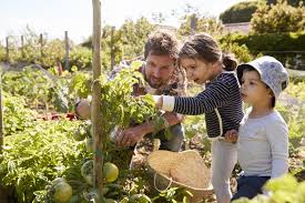 Growing your own food takes it to the next level. Growing Your Own Food Resources And Tools Foodprint