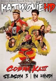 Cobra Kai Season 3 Complete Hindi Dd 5 1 Dual Audio S03 All Episodes Web Dl 1080p 720p 480p Nf Tv Series 4shared In