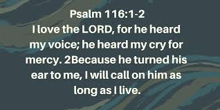 The second prayer declares that the lord is the source of our light and peace, and asks for his inspiration in life. 45 Powerful Prayers For Today Bible Verses And Prayers