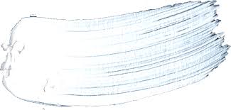 We did not find results for: Download Free Download White Brush Strokes Png Png Image With No Background Pngkey Com