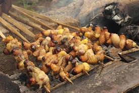 Makan ulat sagu/matar (eat sago worms in borneo jungle) kapuas hulu. Berkunjung Ke Papua Terasa Belum Lengkap Jika Tidak Mencicipi 6 Kuliner Khas Papua Berikut