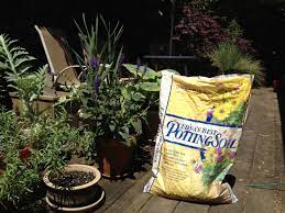Pin On For The Garden