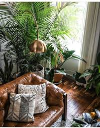 But little do we know that the chemicals that are present in our room such as formaldehyde coming from insulation and carpet backing. Pin By Madi Pazich On Botanical Style Decor Living Room Style Colorful Living