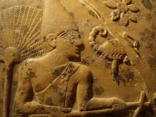 Scorpion II - Wikipedia