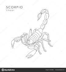Check spelling or type a new query. Small Scorpion Tattoo Outline Novocom Top