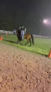 She a bit crazy sometimes...😑 #CrazyTammy #mareproblems #standardbred  #standardbredsoftiktok #holdon #shebouttoblow #horsesontiktok #fyp