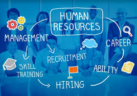 The Fundamental Principles of HR Management to Adopt