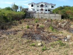 Starting at $10 for 30 days. Lot S For Sale In Longville Park Clarendon Jamaica