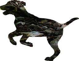 We would like to show you a description here but the site won't allow us. Problemhund Melanie Muller Online Hundetraining