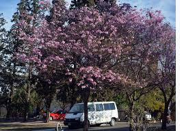¿cómo va a estar el tiempo en córdoba los próximos días? Hoy Dia Cordoba Clima Para Este Viernes Se Espera Tiempo Frio Por La Manana Y Viento Leve Del Noreste Leve Ascenso De La Temperatura Ahora 3 2 Maxima 21 Facebook