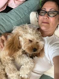 Basenji traits in adopted dog's quirky behavior