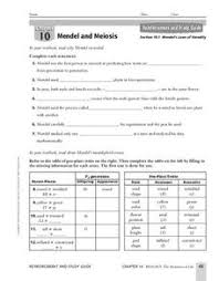 Chapter 10 dihybrid cross worksheet answer key form. Dihybrid Cross Pea Plants Lesson Plans Worksheets