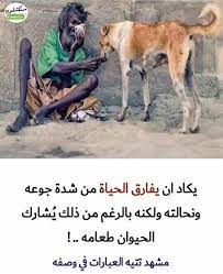 5 294 likes 45 comments mostkshfoon مستكشفون mostkshfoon on instagram تابعنا ليصلك أغرب الصور و المعلومات للمزيد تابعنا mostkshfoon للمزيد تا in 2020 sls