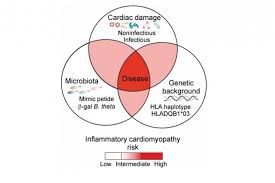 Diseases of the heart, philadelphia, 1966; Gefahrliche Darm Herz Verbindung Kantonsspital St Gallen