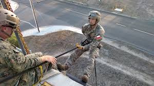 The marines are the world government's military sea force, tasked with law enforcement, international security, and military operations. Us And Chilean Marines Exchange Experiences Dialogo Americas