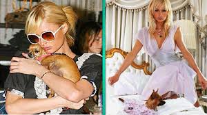 On tuesday, paris hilton posted an instagram of herself holding the special chihuahua, revealing that after 14 years, the pup had passed. Paris Hilton Devastated Over Death Of Chihuahua Tinkerbell Entertainment Tonight