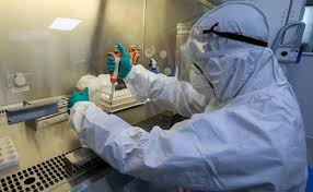 Un Informe Determina El Tiempo Que Se Tarda En Desarrollar Anticuerpos Por Coronavirus Las Provincias