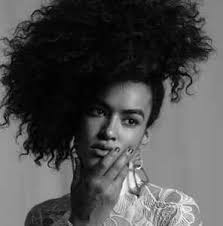 Casey Malone Discography: Vinyl, CDs, & More