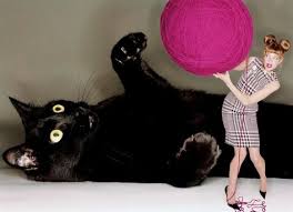 fashion trend cat power 今年就是貓咪貓咪貓咪的鬼打牆 les blog 痞客邦 pixnet cat fashion cats cat art