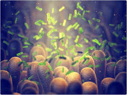 This forum is for questions and support regarding colon cancer. Antioxidants In Diet Could Raise Risk Of Bowel Cancer New Study Reveals