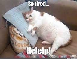 Meme So Tired Helelp All Templates Meme Arsenal Com