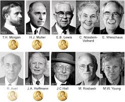 Eric wieschaus princeton part 1 patterning development in the embryo. Why Fly Droso4schools