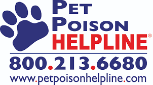 Call a 24 hour vet immediately! 24 7 Animal Poison Control Center Pet Poison Helpline