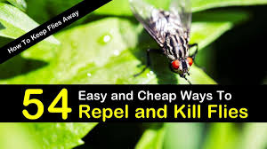 Flies come only second to mosquitoes on the annoyance scale in our household and are number one in what i most want to eradicate since they can spread. How To Keep Flies Away 54 Easy And Cheap Ways To Repel And Kill Flies