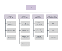 1 business organizational chart it organization chart