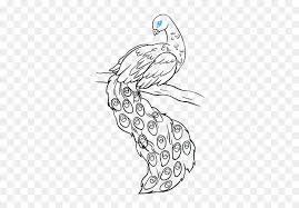 Draw out the entire outline of the peacock's tail which is shaped like a great big cloud that is attached to the back end of the body. How To Draw Peacock Easy Drawing With Pencil Hd Png Download Vhv