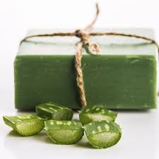 Aloe Vera Seife Zur Hautpflege Selber Machen Rezept Anleitung Kosmetik Selber Machen Rezepte Kosmetik Selber Machen Seife Selber Machen Rezept