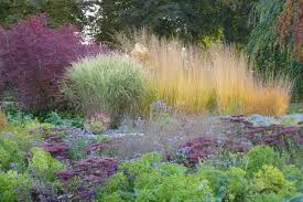 Ega Erfurt Amazing Gardens Garden Design Plants