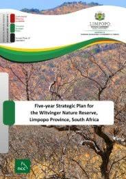 Image result for Ptycholobium plicatum