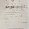 On this page you can read or download neuron function pogil answer key in pdf format. 1