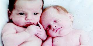 Two of Arlington's newest residents