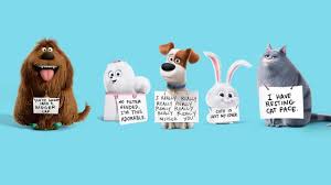 Category:cats | the secret life of pets wiki | fandom. Secret Life Of Pets Wallpapers Top Free Secret Life Of Pets Backgrounds Wallpaperaccess