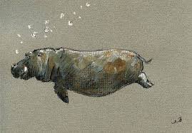 Swimming Hippo By Juan Bosco In 2021 Art Prints Hippo Swimming Safari Art