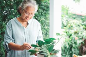 Finding Purpose and Happiness in Life: 7 Suggestions for Older Adults to  Follow – Tapestry Senior